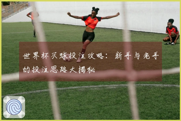 世界杯买球投注攻略：新手与老手的投注思路大揭秘