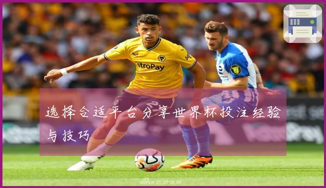 选择合适平台分享世界杯投注经验与技巧