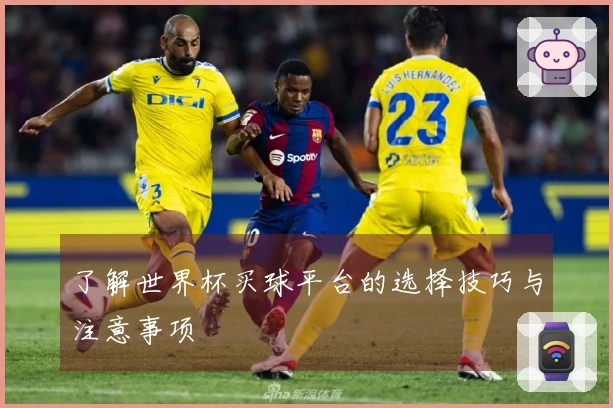 了解世界杯买球平台的选择技巧与注意事项