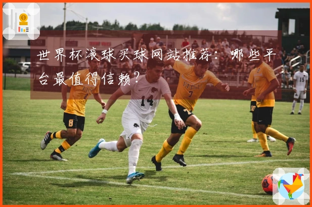 世界杯滚球买球网站推荐：哪些平台最值得信赖？