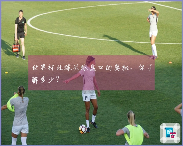 世界杯让球买球盘口的奥秘，你了解多少？