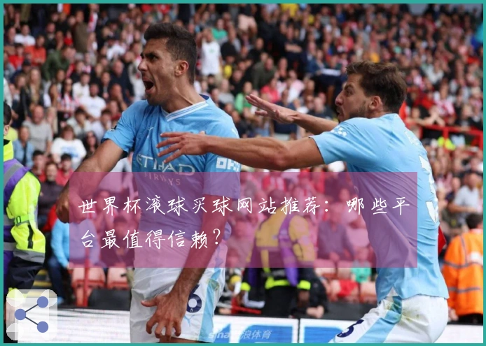 世界杯滚球买球网站推荐：哪些平台最值得信赖？