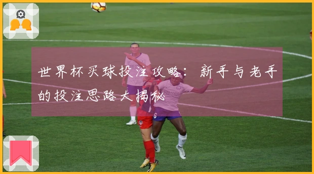 世界杯买球投注攻略：新手与老手的投注思路大揭秘